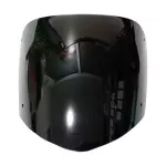 VISOR PLATINO 100