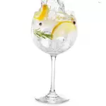Gin & Tonic
