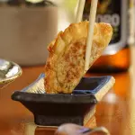 Gyozas Vegetarianas