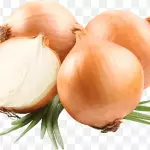 Cebola - KG
