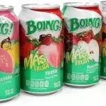 Refresco de nectar 355ml