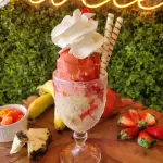 SALADA DE FRUTAS - UMA BOLA