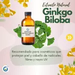 EXTRACTO HG GINKGO BILOBA