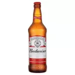 Cerveja Budweiser - Long neck