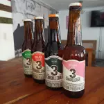 3  Cordilleras Botella 330ml