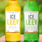 Ice Leev