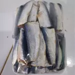 Sardina tuco