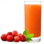 SUCO DA FRUTA