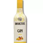 Gin Invictus Tropical 900ml