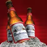 Budweiser 330ml
