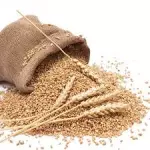 Farelo de Trigo fino Tostado