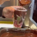 FONDUE DE 700ML