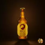 Skol litrinho 300ml