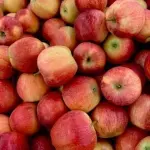 Apples