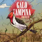 Galo Campina