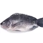 Tilapia Entera