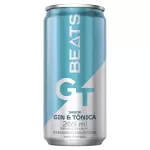 SKOL BEATS GT LATA 269ML