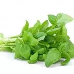 Albahaca