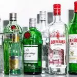 Gin