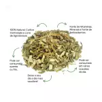 Arnica - 30g