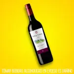 Vino Viña Vieja