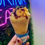 Cone Salmarão