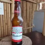 Budweiser