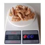 Cúrcuma in natura (raiz) - 100g
