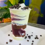 ICE TASTY O MAIS PEDIDOS COPO