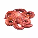 CEVICHE DE PULPO