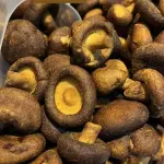 CHIPS DE COGUMELO