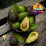 Aguacate Pza