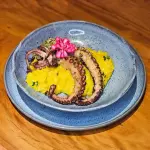 Polvo com risoto