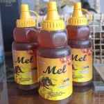 Mel Multifloral Apis 500g