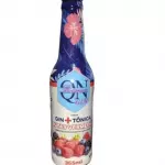 Gin + Tônica Frutas Vermelhas 355ML