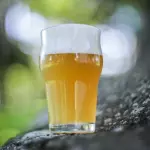 Antuerpia Witbier