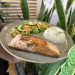 SALMON