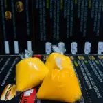 Sachê Cheddar polenguinh