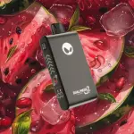 Watermelon Chill 33