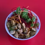 GOHAN POLLO