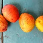 SUCO jarra 1l