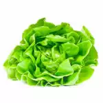 Lechuga Manteca x 250g (121)