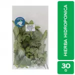 Hydroponic Peppermint