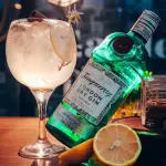 Gin Tropical