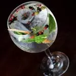 Botanical Tonic