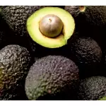 Aguacate