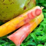 Misto com Água de Coco - 140g