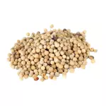 Pimenta Branca em Grãos