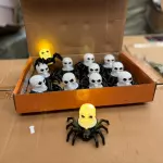 CY30-VELA DE ARAÑA Y CALAVERA