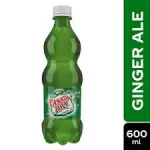 GINGER ALE 600ML